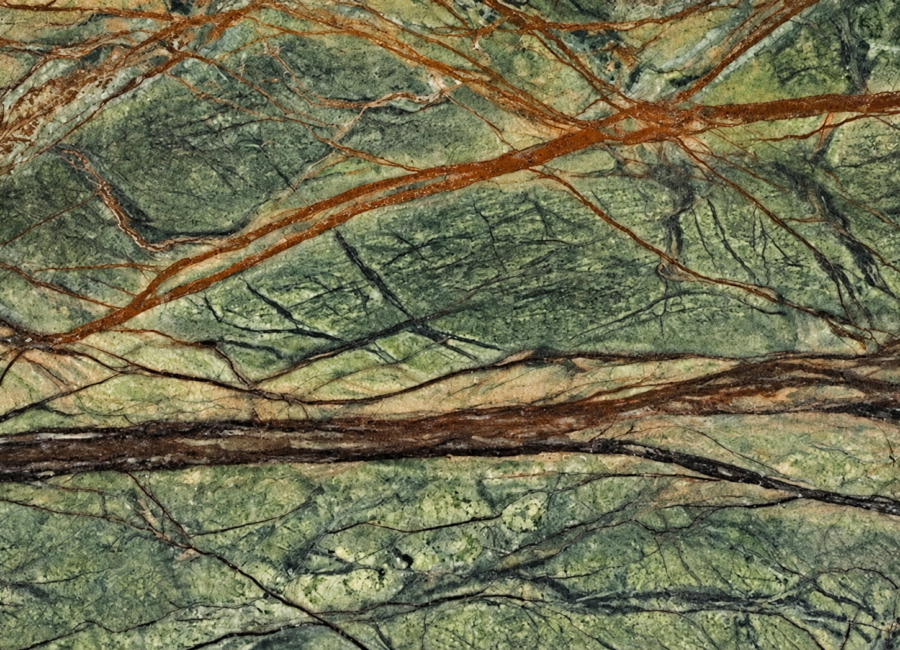 Rainforest Green